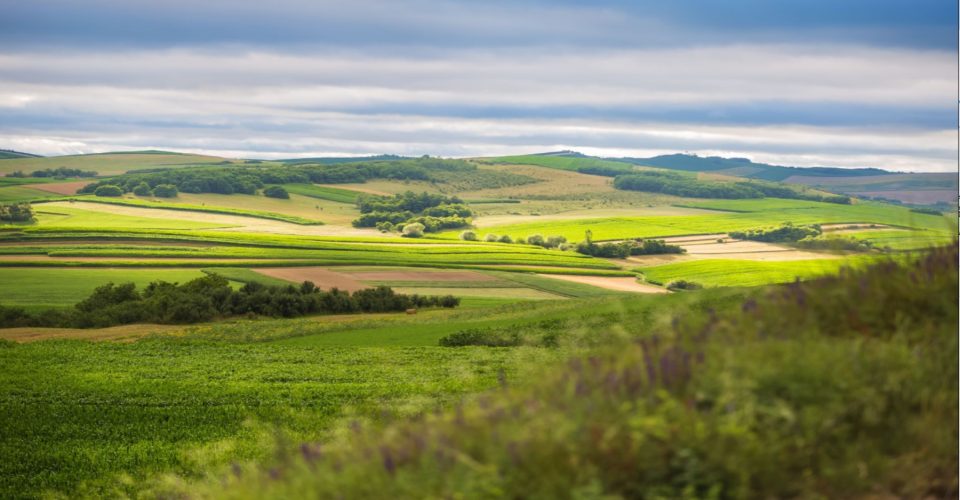 Landwirtschaftliche Grundstücke