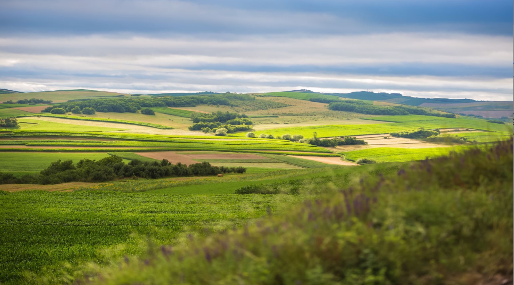 Landwirtschaftliche Grundstücke